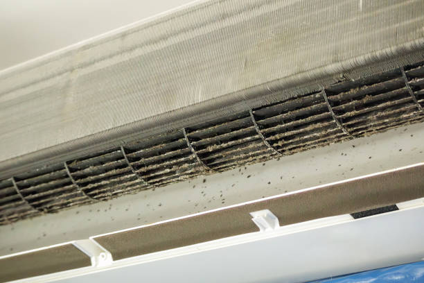 Best Local Air Duct Cleaning Services  in Ganado, TX